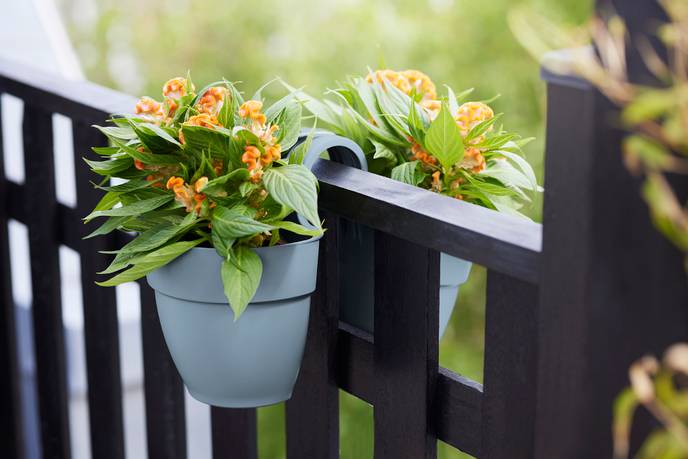 vibia campana flower twin 21cm vintage blauw